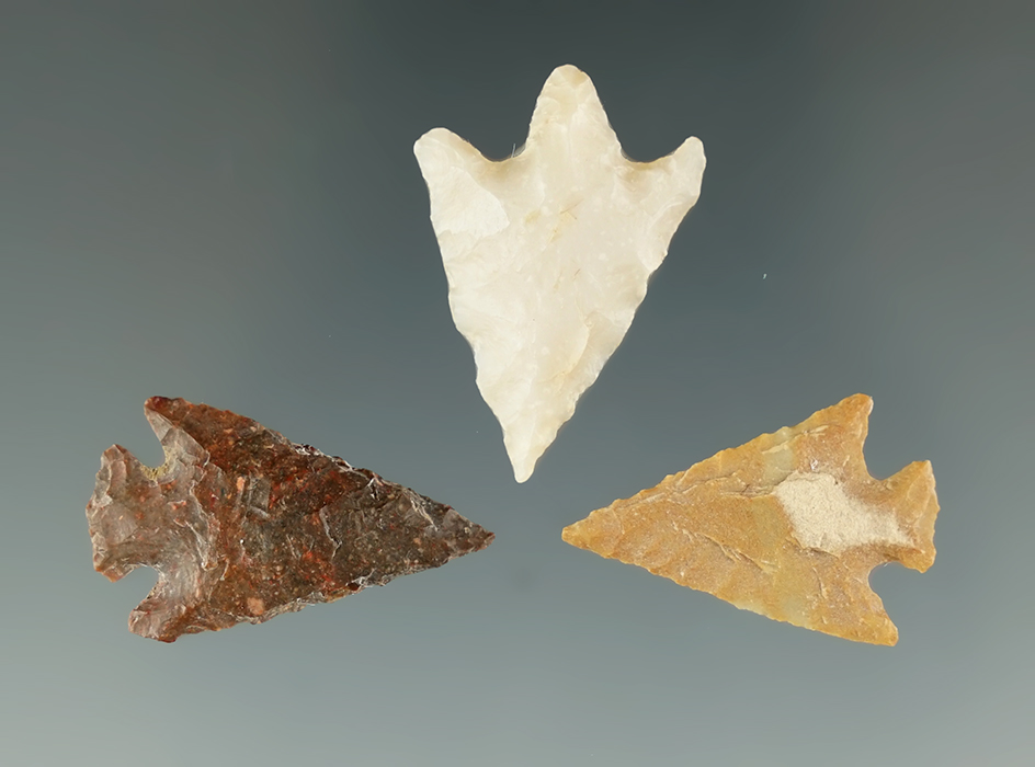 Set of 3 Columbia Columbia River area arrowheads, largest is 1".