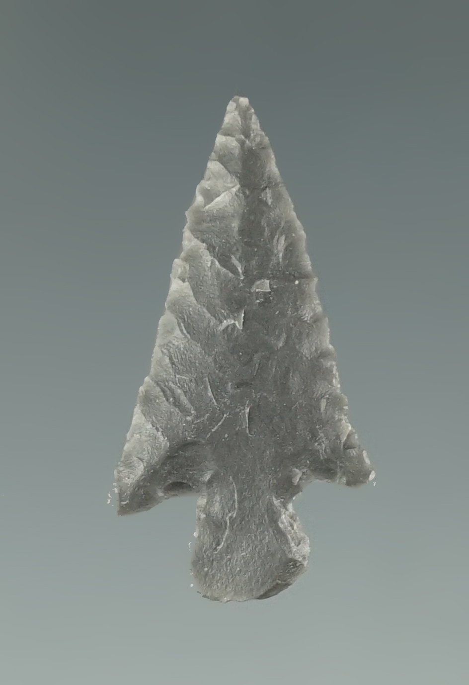 1" Finely flaked arrow point found in Malheur County Oregon.