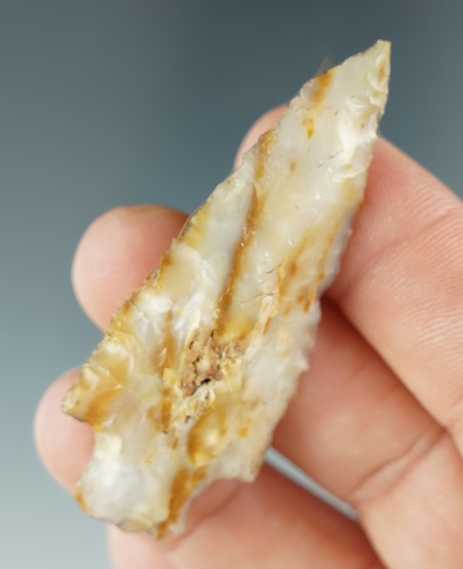 Large 2 1/4" Dart Point with nice serrations found near the mid-Columbia River in the 1960s.