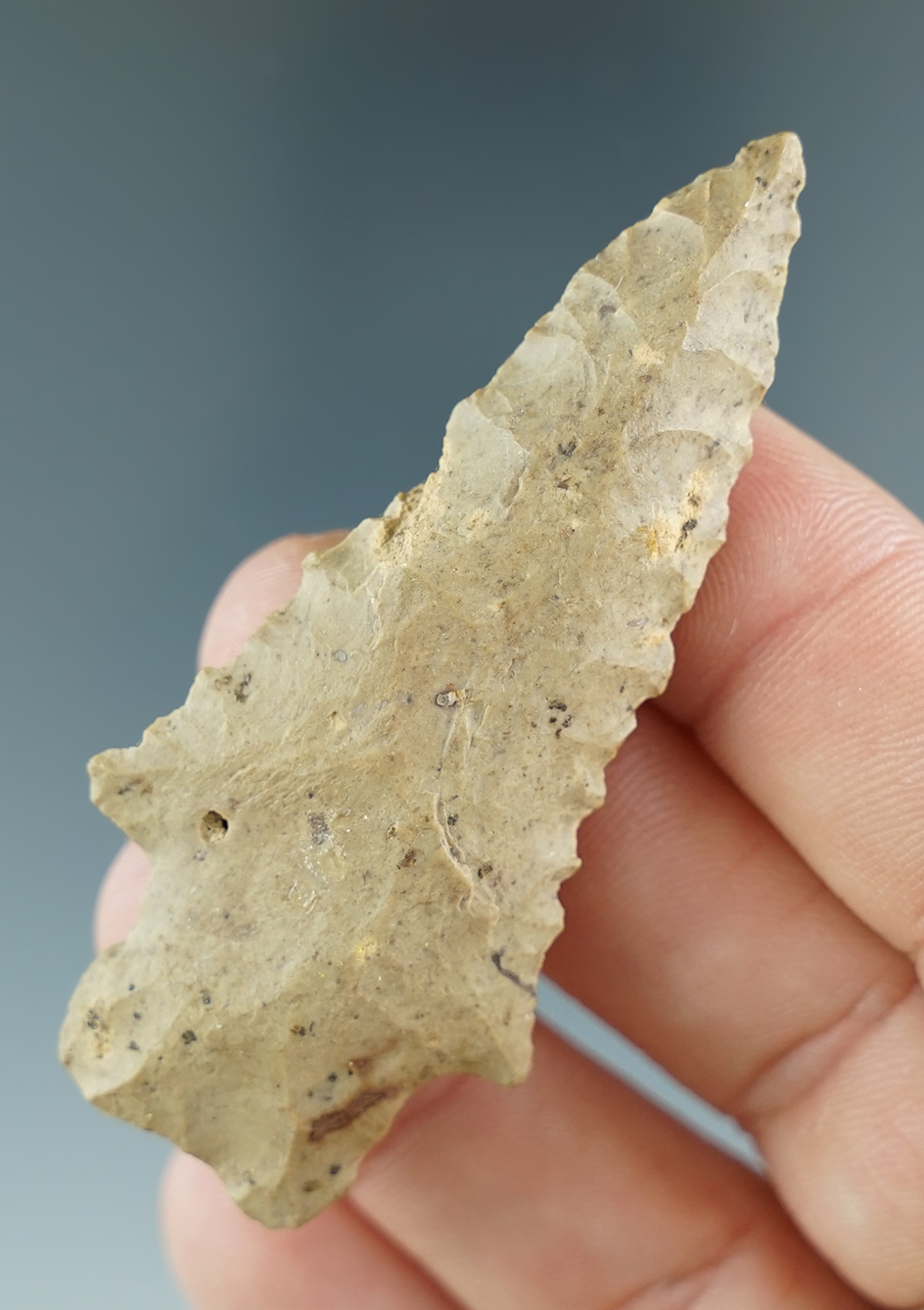 2 9/16" Kirk found in Kentucky.