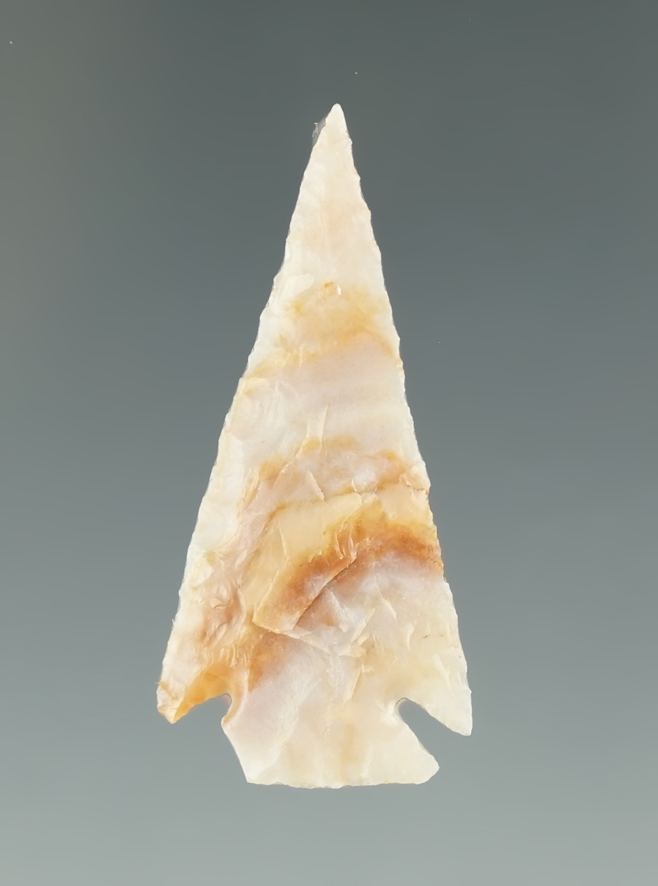 Nicely flaked 1 3/8" Cornernotch arrowheads found near the Columbia River.