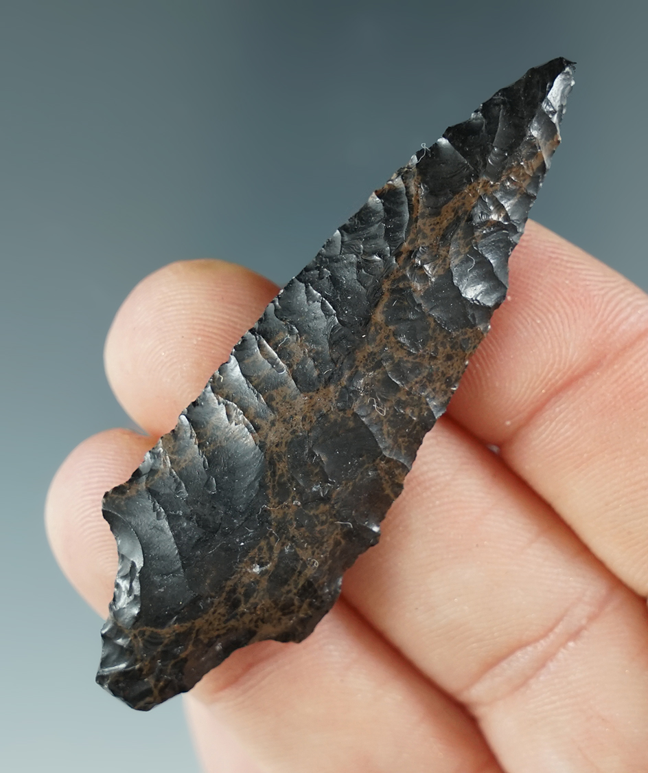 Well styled 2 3/8" Gatecliff dart point found near Crump Lake, Lake County Oregon.