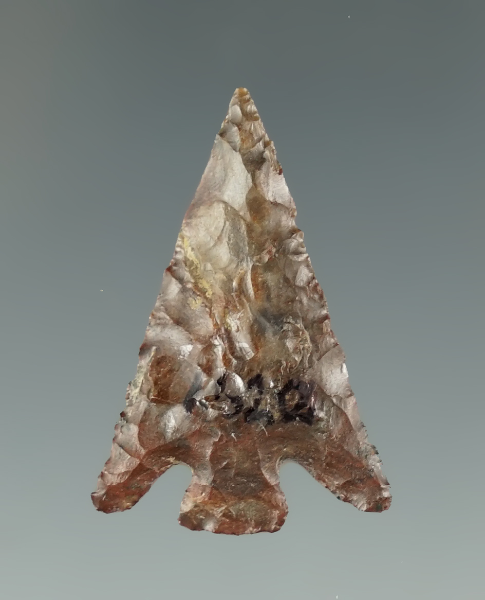 Large 1 3/16" Columbia Plateau is very well styled and nicely patinated.