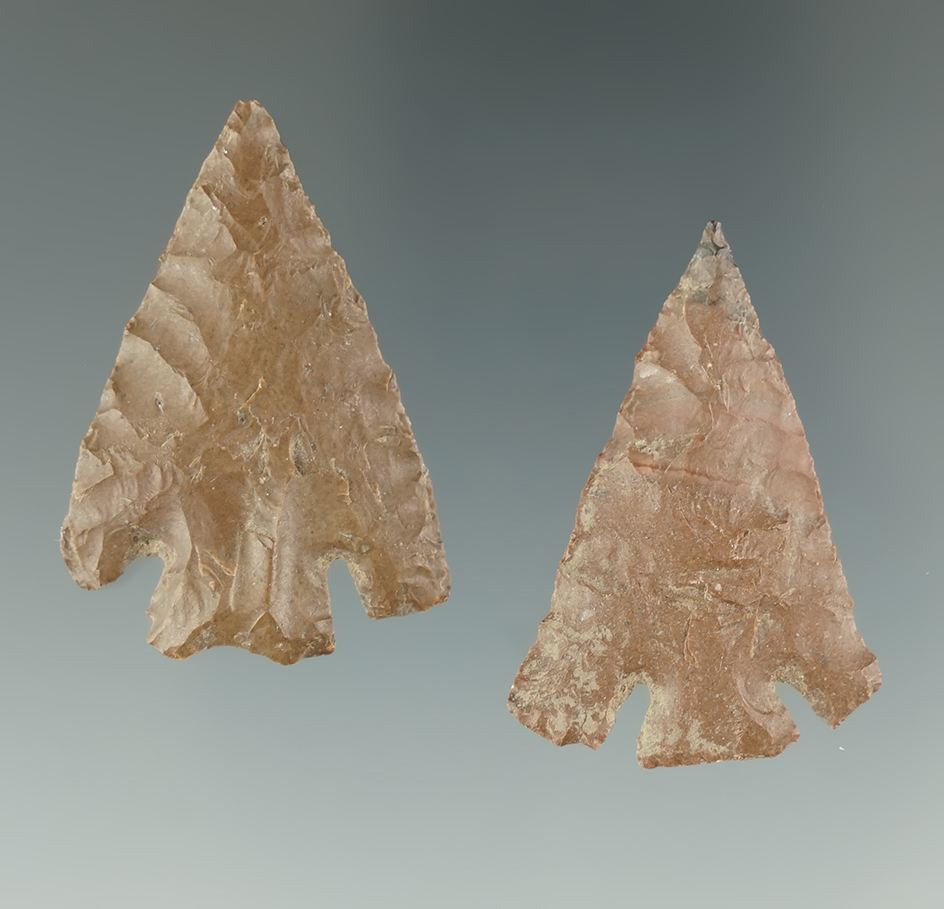 Pair of Quilomene Bar Points found along the Mid Columbia River. Largest is 1 1/2". Ex. Hall.