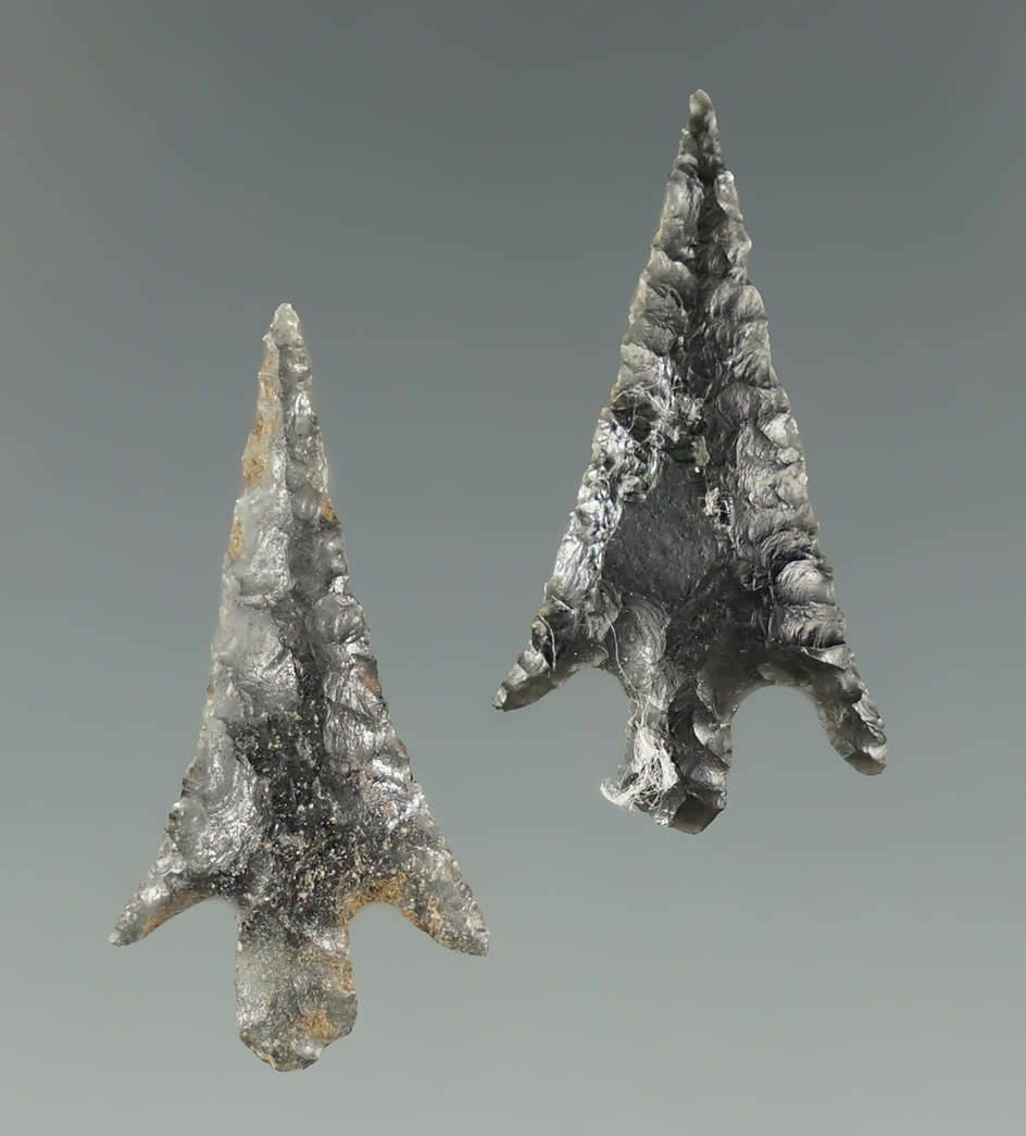 Pair of well flaked arrow points found in Malheur Co., Oregon. Largest is 1".