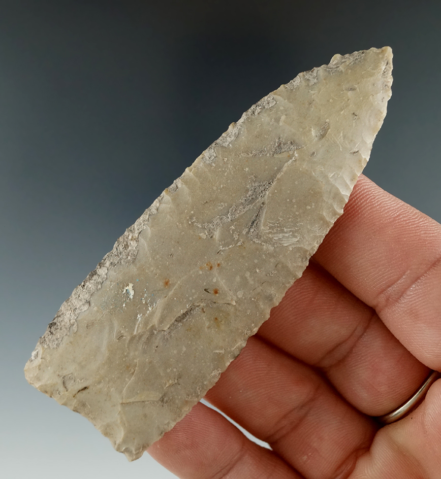Ex. Museum! 3 3/16" Lanceolate found in Texas with nice mineral deposits on surface.