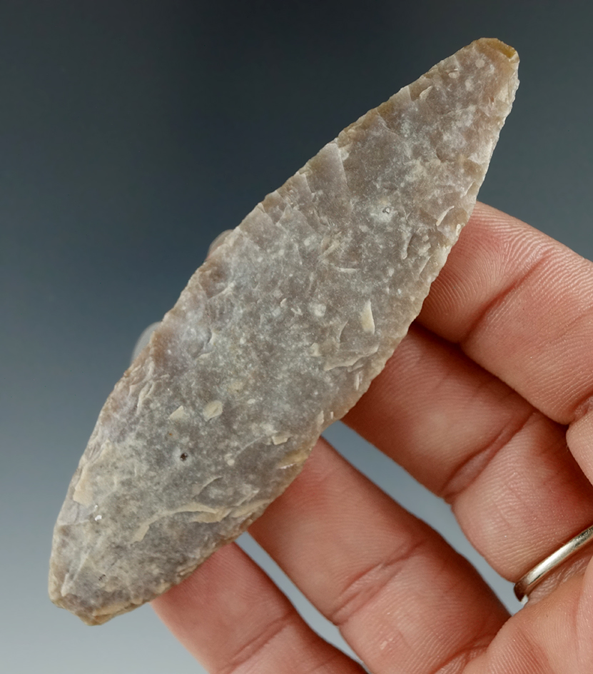 3 5/16" Angostura found in Wilson Co., Texas.