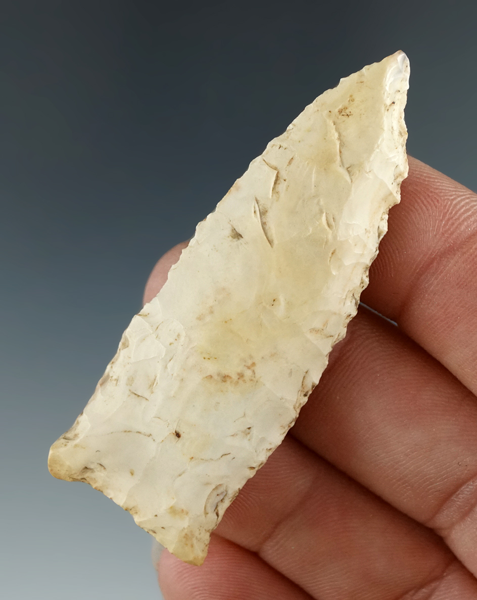 2 5/16" Beveled Dalton found near Chouteau Creek in Missouri by Bill Bodine.