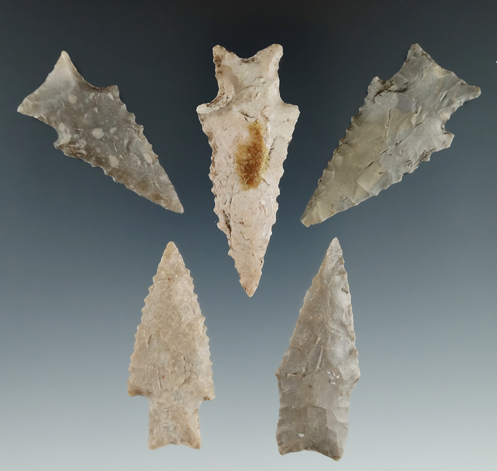Ex. Museum! Set of five Zephyr points found in Texas, largest is 2 3/8".
