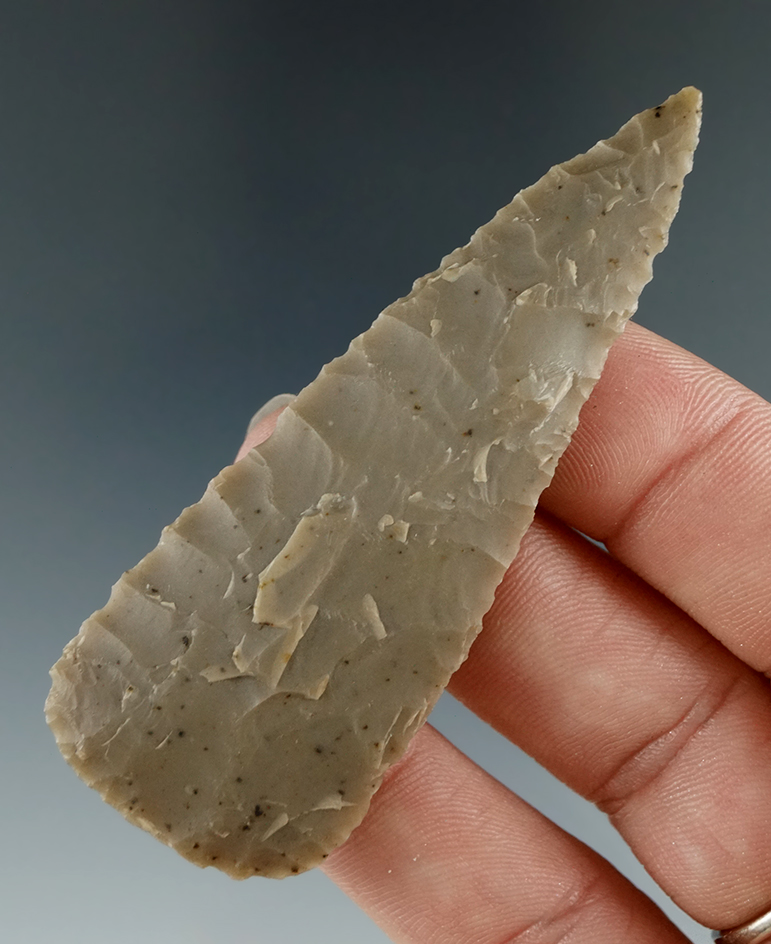 Ex. Museum! Thin and nice! 2 13/16" leaf shaped Knife found in Texas in excellent condition.