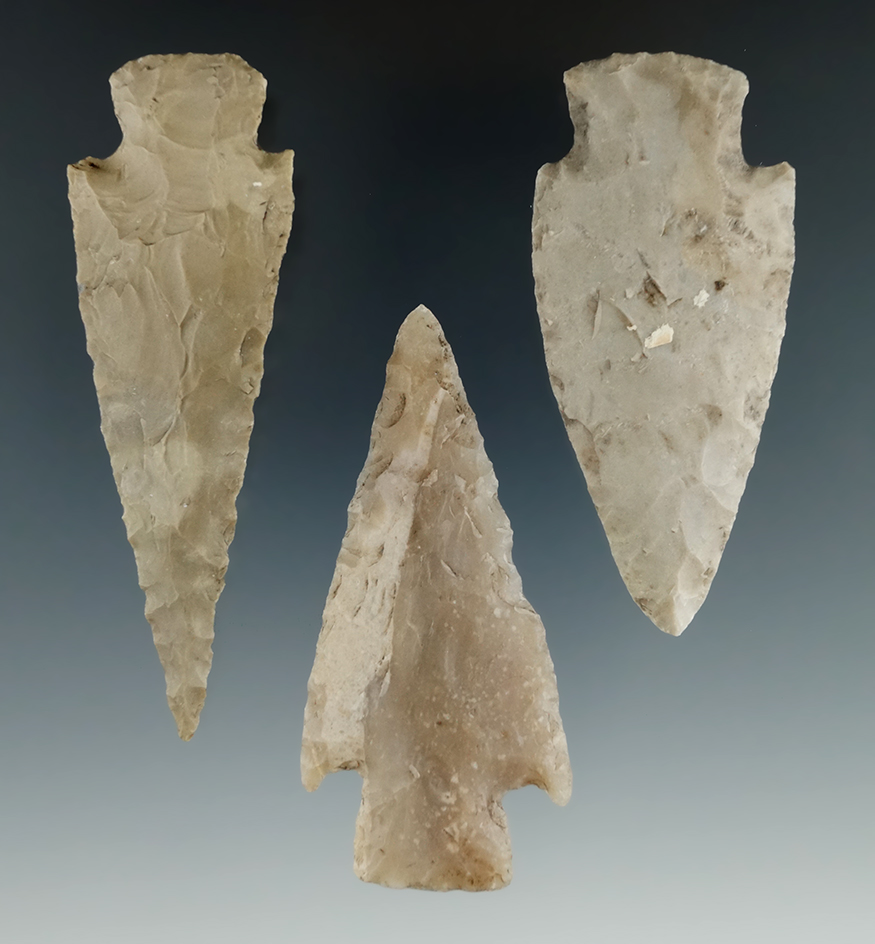 Ex. Museum! Set of three Lange points in excellent condition found in Texas, largest is 3 1/4".