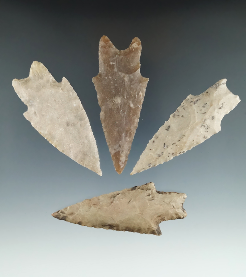 SEx. Museum! et of four Pedernales points found in Texas in very nice condition. Largest is 3".