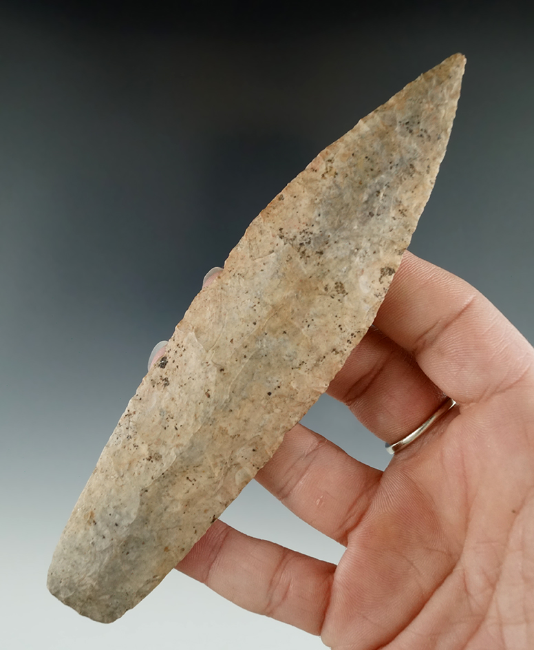 Nice! 5 5/8" well flaked Sedalia found in Boone Co., Missouri. Comes with a Perino COA.