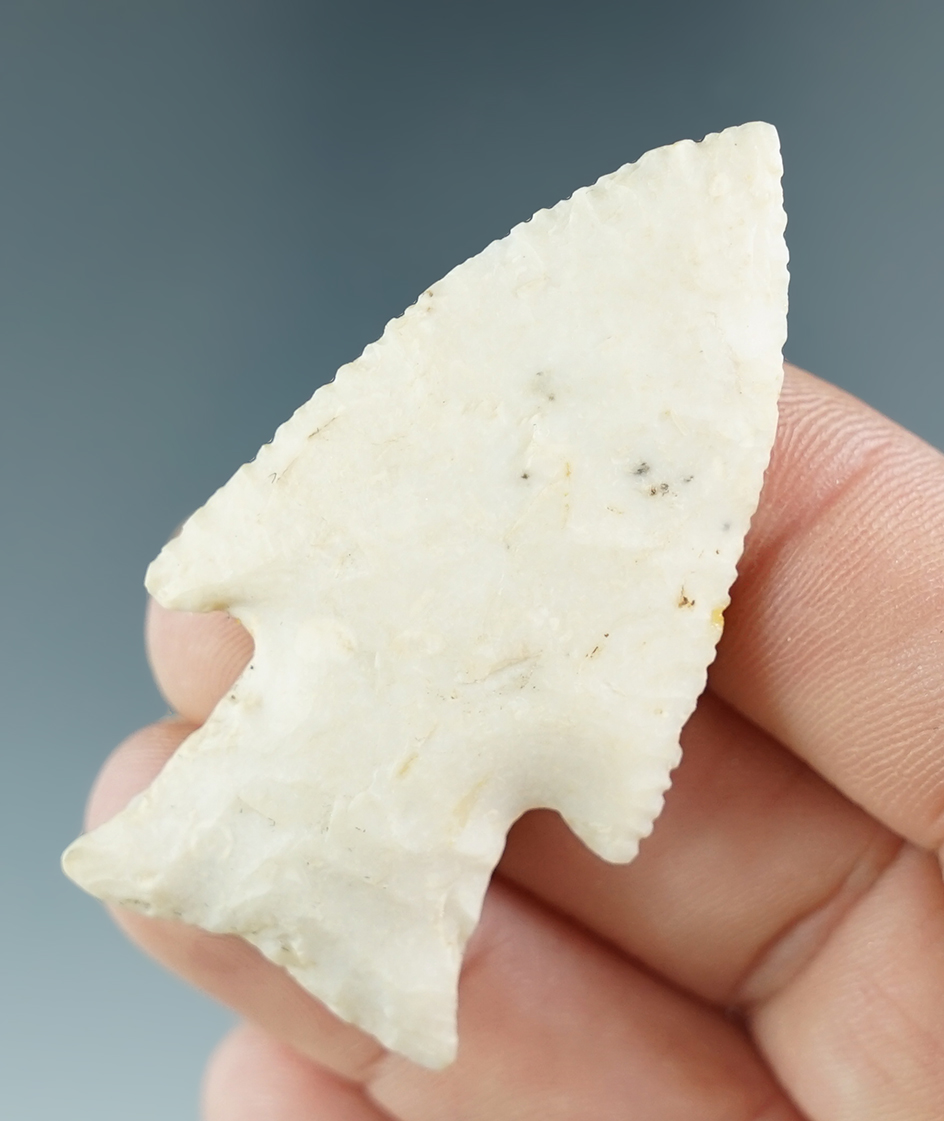 2 3/16" Knobbed Hardin with incredible micro-serrations along both blade edges found in Illinois.