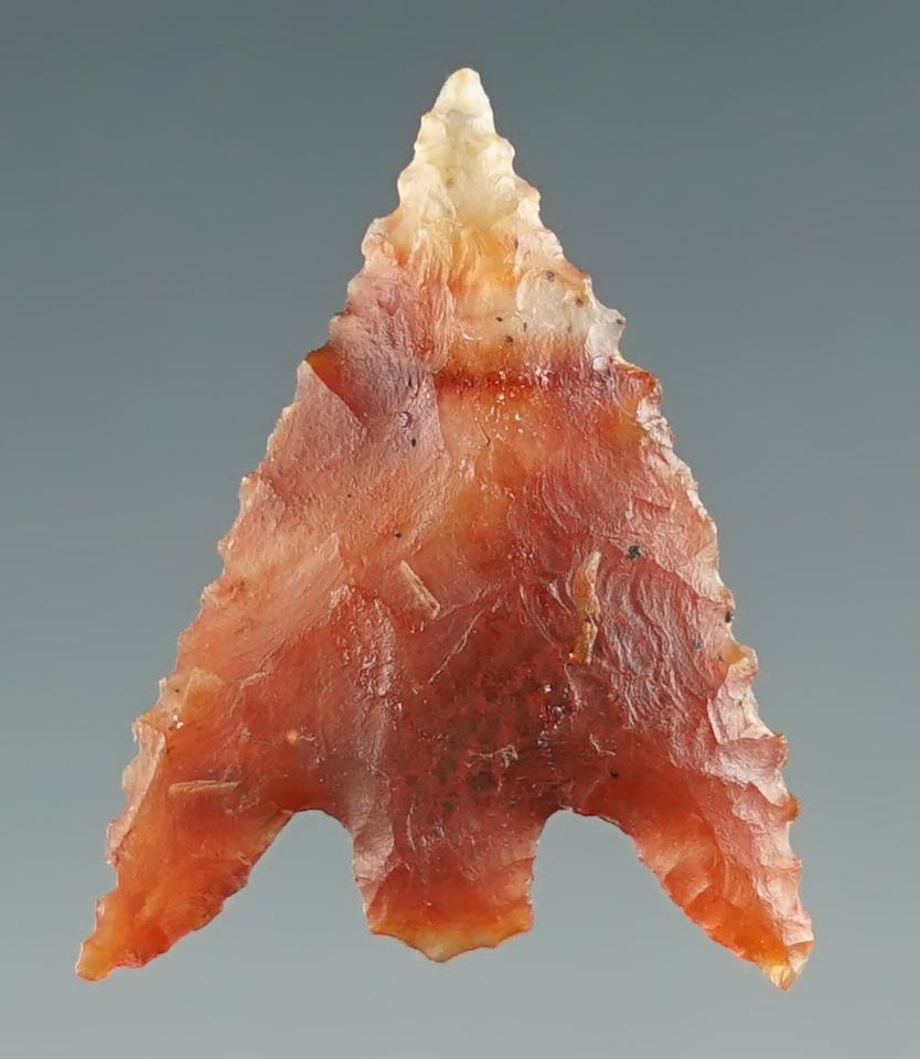 Nice! 1" serrated Gunther - attractive semi translucent red agate - Klamath Lake, Oregon. COA.