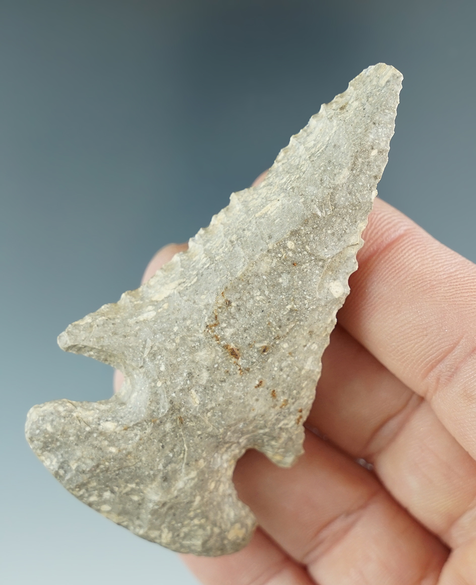 Excellent flaking and style on this 2 13/16" steeply beveled Archaic Thebes found in Indiana.