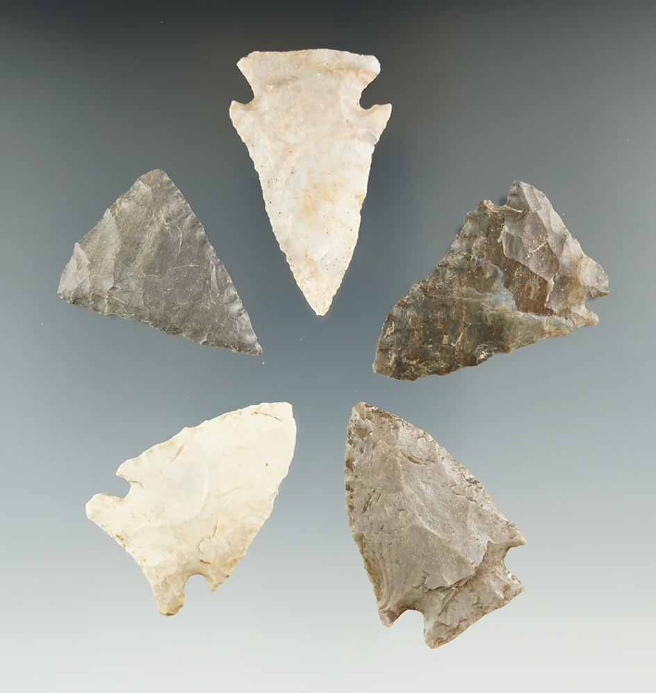 Set of five assorted points found in Kentucky/Tennessee, largest is 1 11/16". Ex. Henry English.