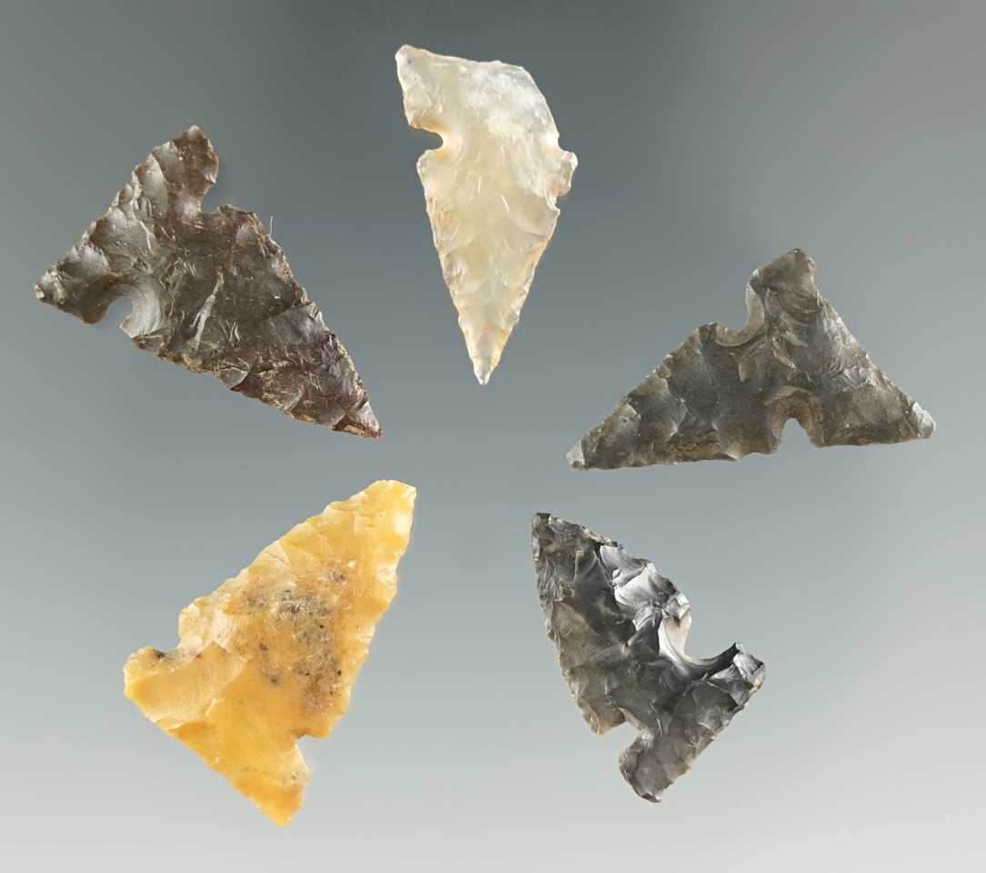 Set of five Sidenotch points found near Scappoose, Oregon, Columbia River. Largest is 7/8".