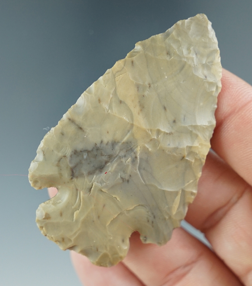 2 7/16" Dovetail made from Delaware Chert,  Indiana. Ex. Tom Davis Collection. Perino COA.