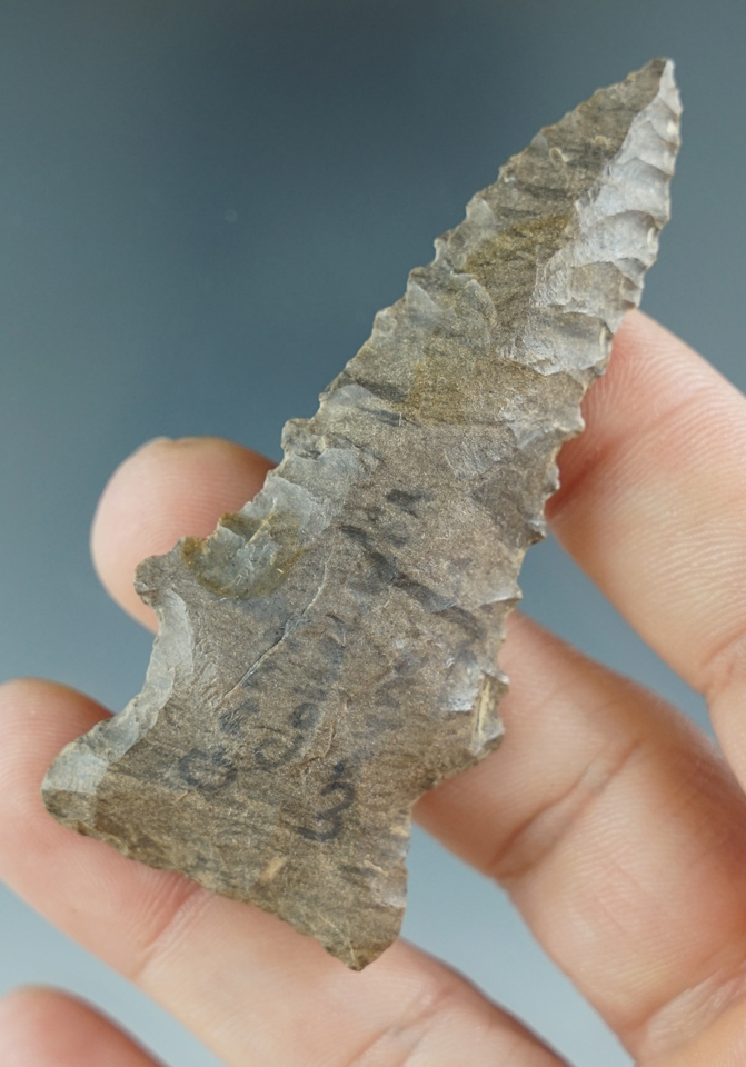 2 3/4" Pine Tree made from Dover Chert, found in Wayne Co., Tennessee. Davis COA.
