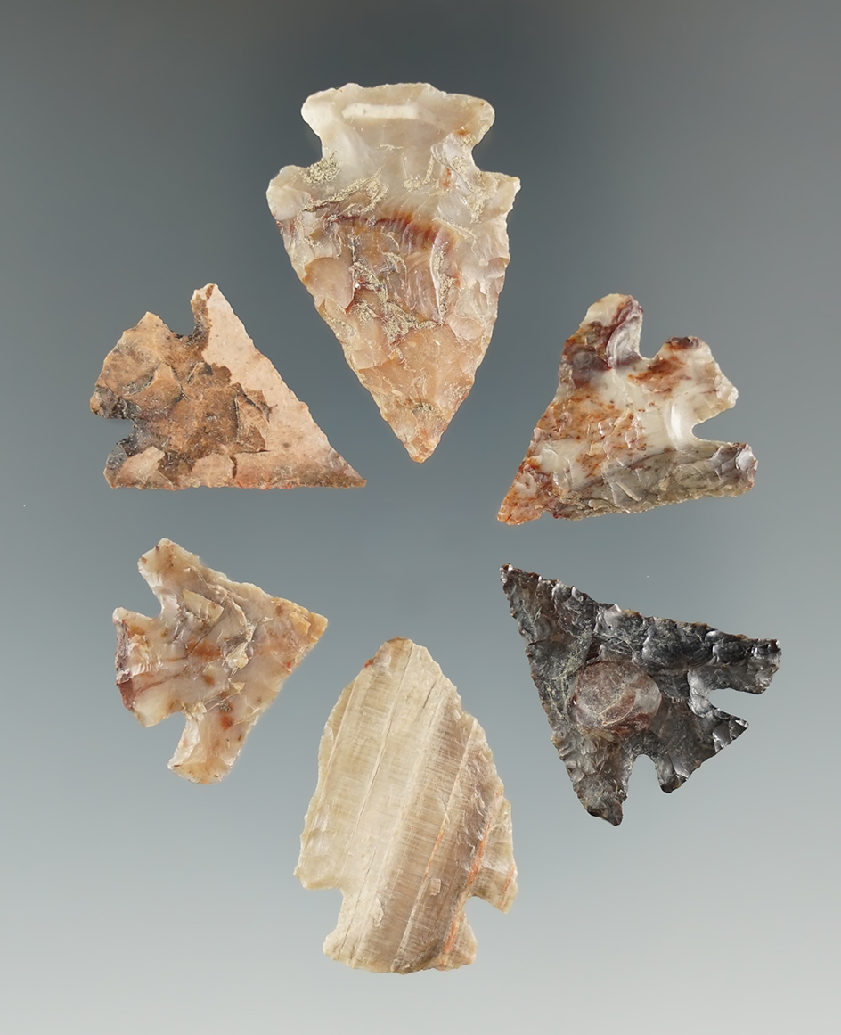Group of six nicely styled Columbia River arrowheads found near Quilomene Bar, Vantage, WA.