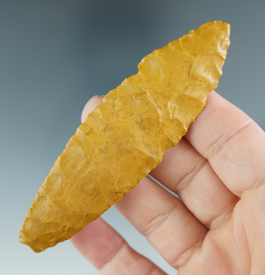 Thin 3 3/4" Cordileran Cascade found in Warner Valley, Oregon. Comes with a Perino COA.