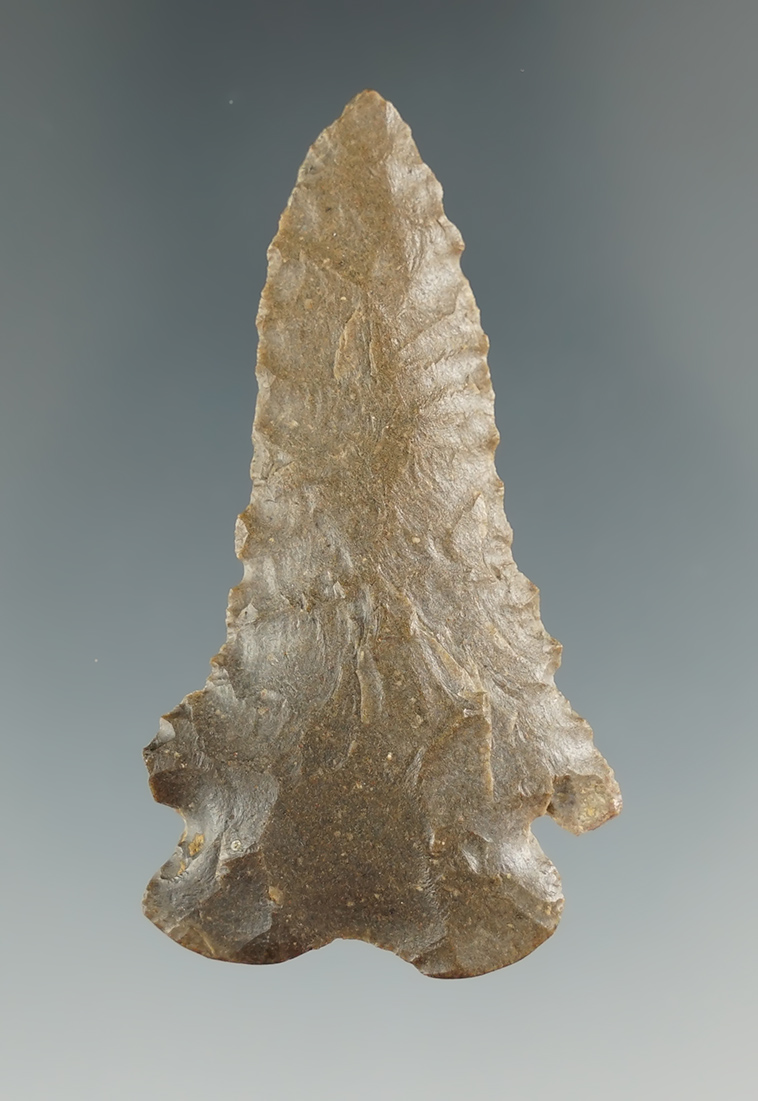 2 1/4" Pine Tree point found in Fayette County Kentucky in very nice condition. Ex. Henry English.