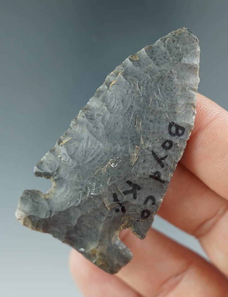 2 3/8" Howard County Point found in Boyd Co., Kentucky. Comes with a Perino COA.