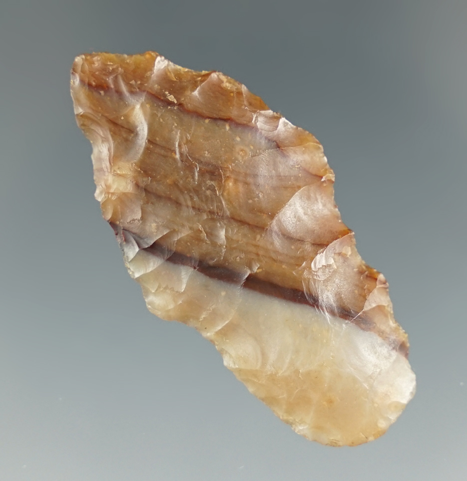 1 7/8" Paleo Lind Coulee - Columbia River, Washington.multi-colored Agate. Pictured!