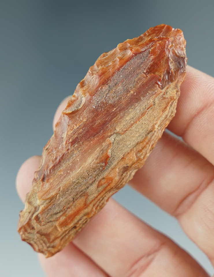 2 9/16" Paleo Haskett - beautiful Petrified Wood. Found near the Columbia River, WA. Pictured!