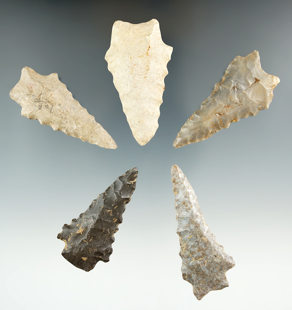 set of five serrated Kirk points found in Kentucky, largest is 2 3/8". Ex. Henry English collection.