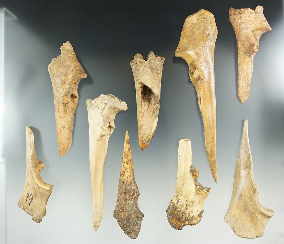Nice group of nine bone awls found in Kentucky. Ex. Henry English collection.