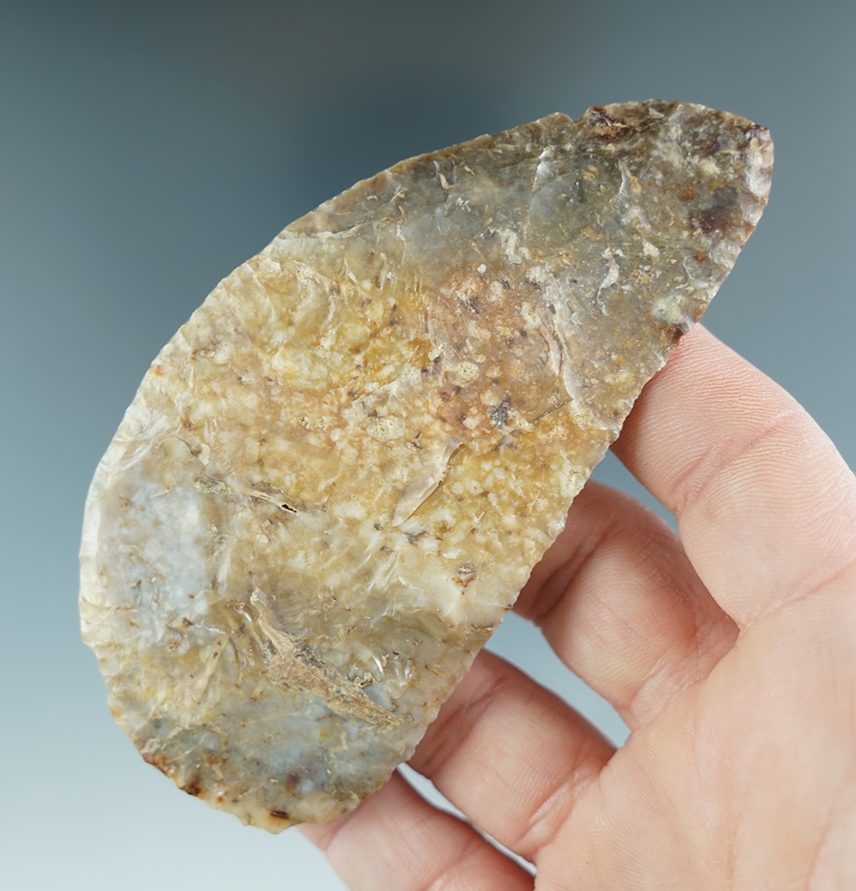 Sale highlight! 3 15/16" Crescent Knife that is incredibly well made from beautiful silicified wood.