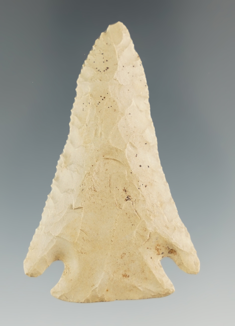 2 7/16" well styled Pine Tree point with incredible micro serrations along the blade edge - Kentucky