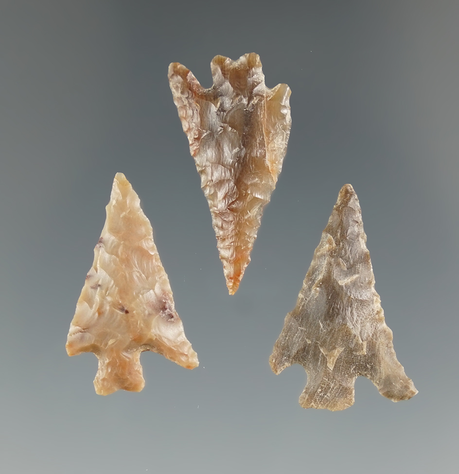 Set of three Columbia Plateau points found near Vantage, Washington. Largest is 1 1/16".
