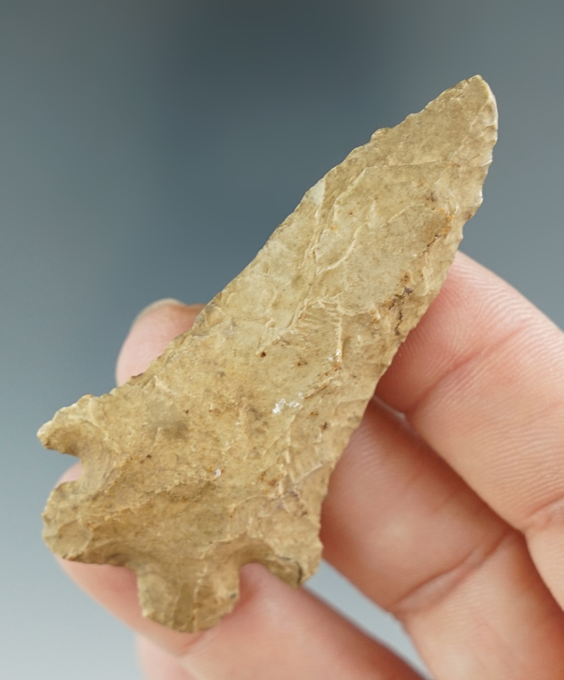 2 1/2" nicely styled Bifurcate point found in Kentucky.