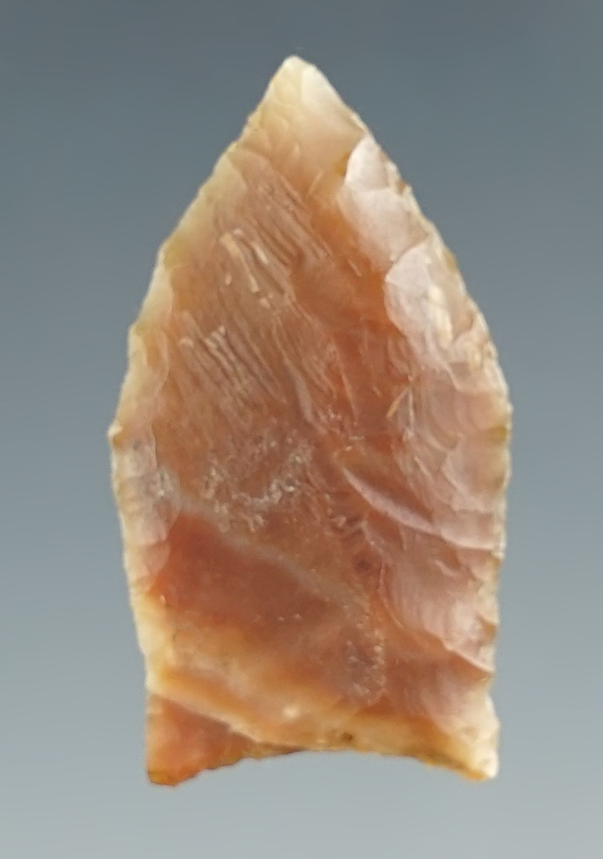 1 1/8" Paleo Spedis - nicely styled from attractive agate - mid-Columbia River, Oregon.G-10+ COA.