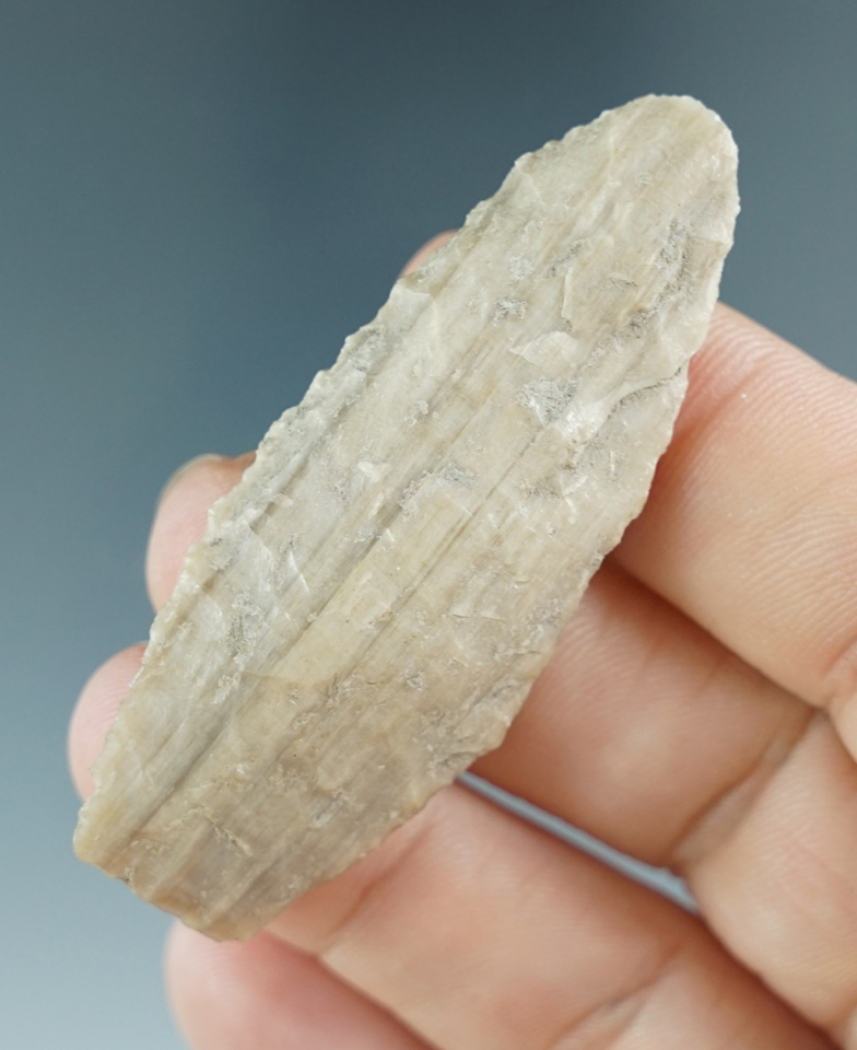 2 5/16" Windust Paleo Contracting Stem - attractive Petrified Wood. Washington. Pictured!