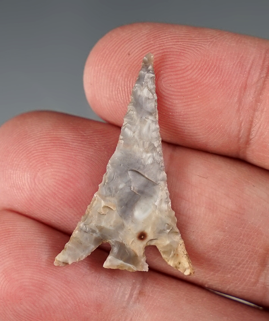 1 1/4" Columbia Plateau with nice barbs. Found by Keith Bradbury.