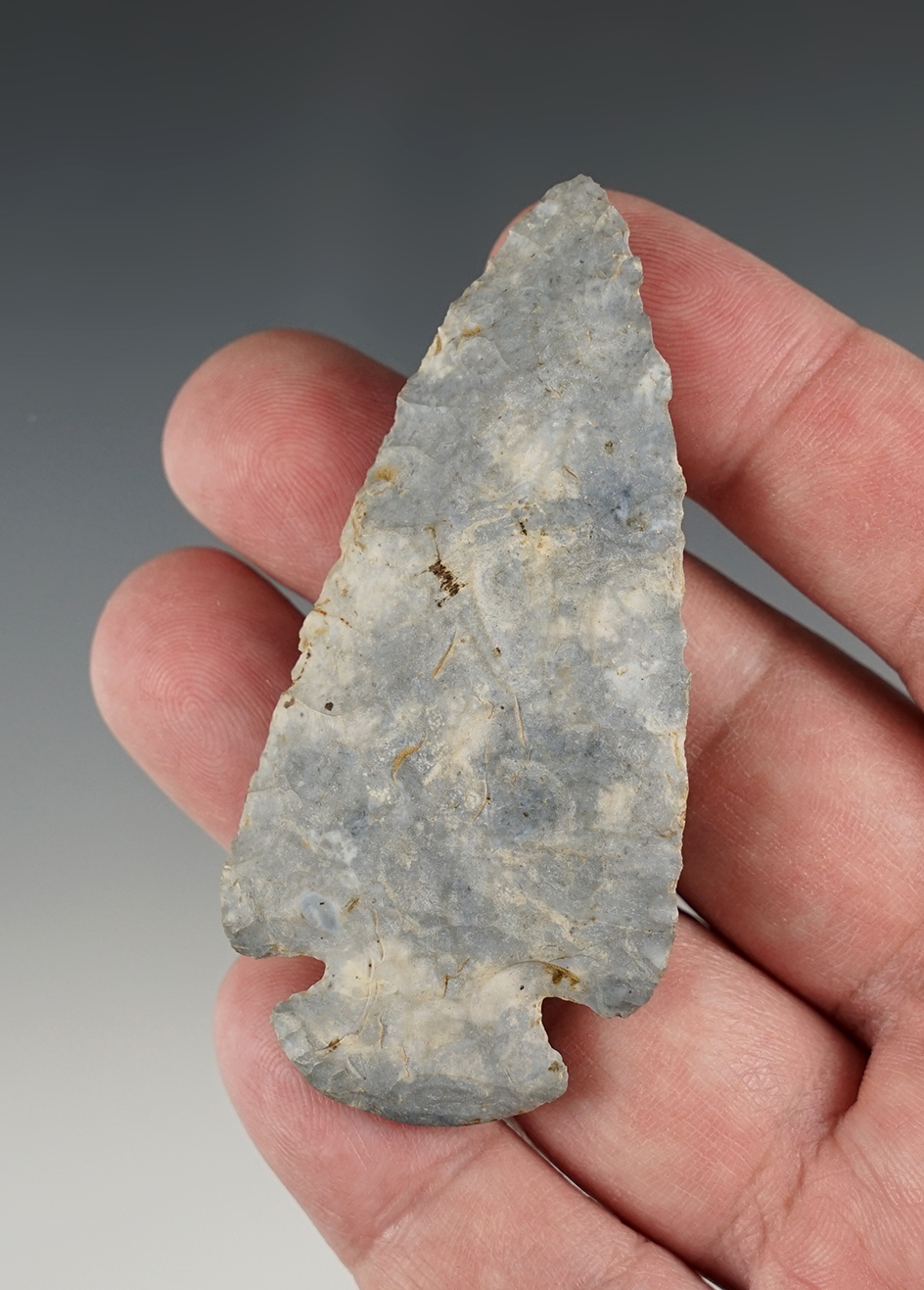 2 7/8" Dovetail found near Killbuck in Holmes Co., Ohio, by an Amish farmer. Ex. Hooks.