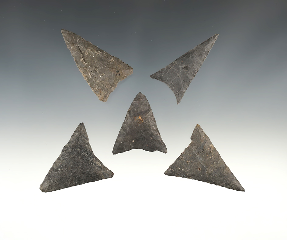 Set of 5 finely made Triangle points found in the Eastern U.S. The largest is 2".