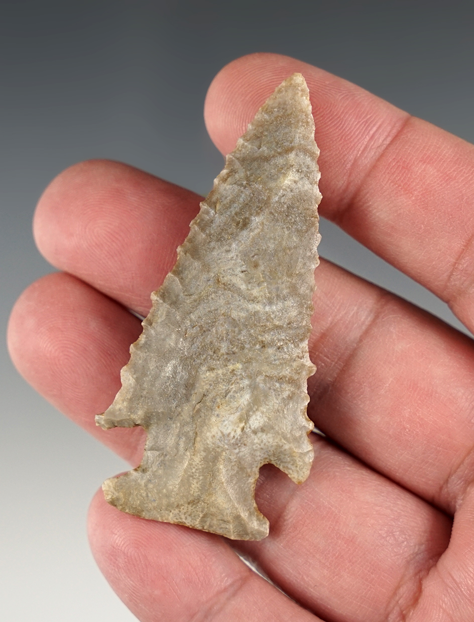 Well made 2 5/8" Hardin found in Boyle Co., Kentucky. Nicely beveled with great flaking.