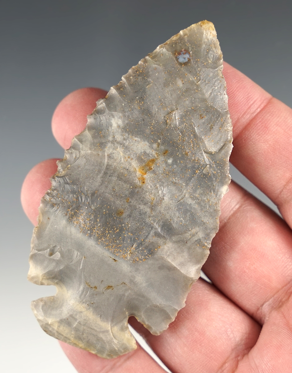 Exceptional 3 3/8" Kentucky Serrated Dovetail made from high grade banded flint.