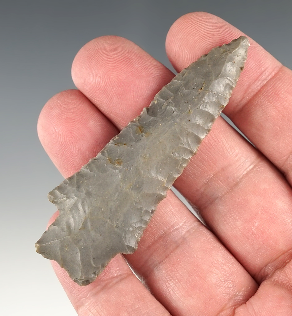 2 7/8" Heavy Duty that is finely made. Found in Fayette Co., Kentucky. Comes with a Davis COA.