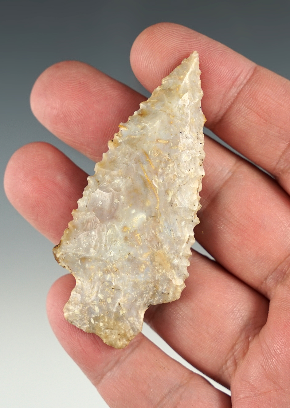 2 13/16" beautifully serrated Kentucky Heavy Duty made from Boyle chert.