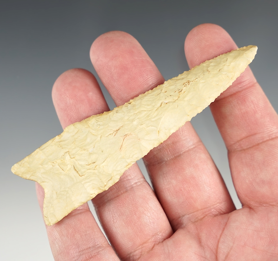 3 13/16" well patinated Dalton with excellent form. Found in the Midwestern U.S.