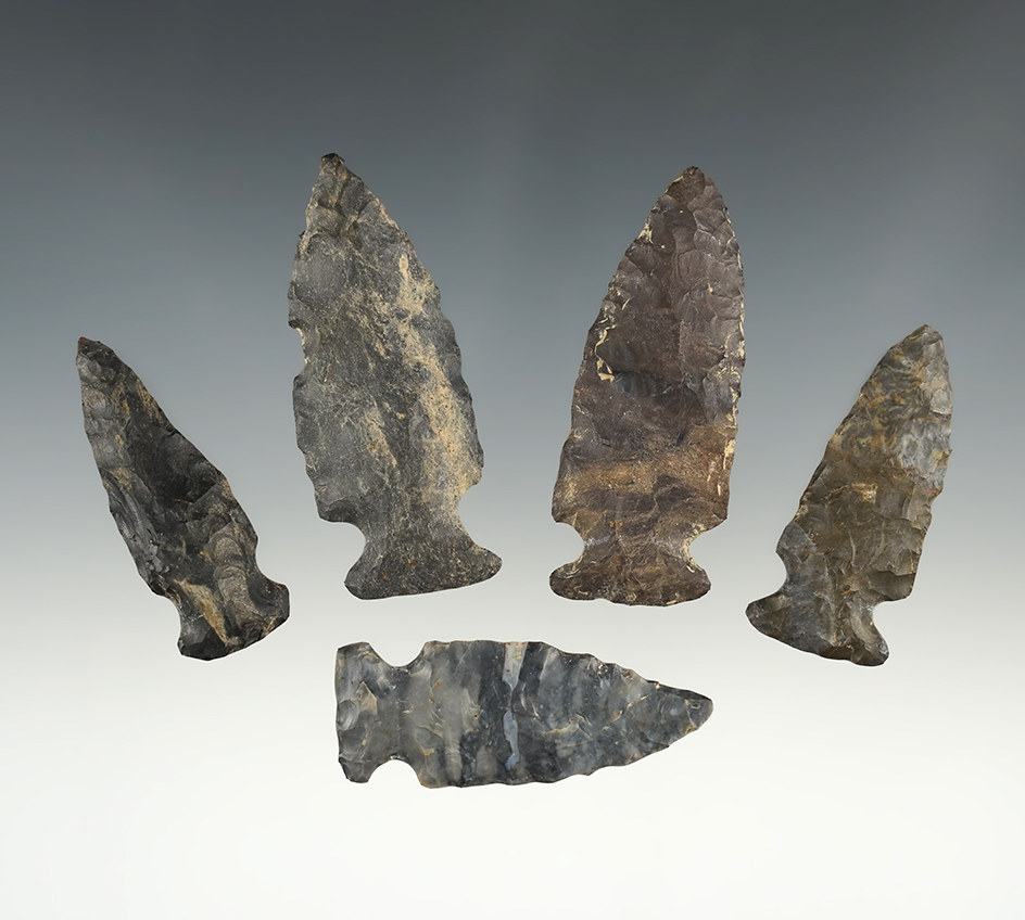 Set of 5 nicely made Fishspear points - Coshocton Co., Ohio near West Bedford. Largest is 2 3/8".