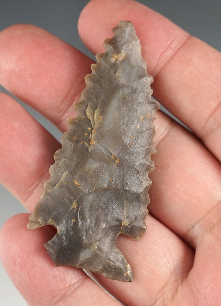 2 5/8" Kirk Corner Notch found in Kentucky. Heavily serrated example.