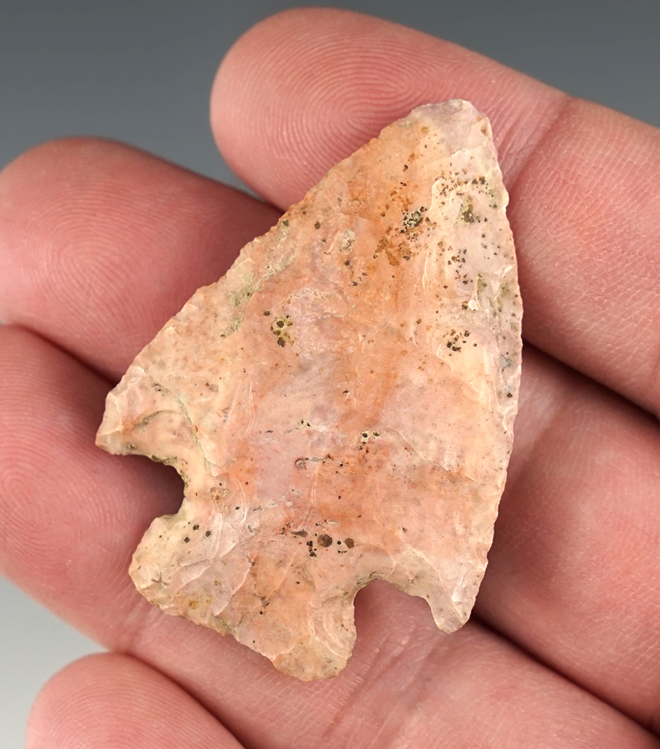 Colorful 1 15/16" Archaic point found in Licking Co., Ohio. Ex. Ron Sauer collection.