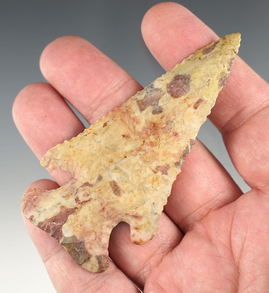 Highly Colorful 3 1/2" Flint Ridge Thebes - Licking Co., Ohio. About 7/8" of tip is restored. Ex. Ha